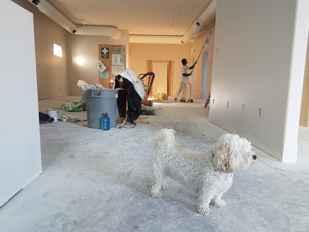 All New House Cleaning