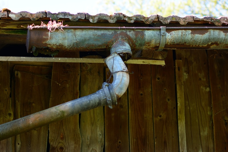 Gutter Cleaning services
